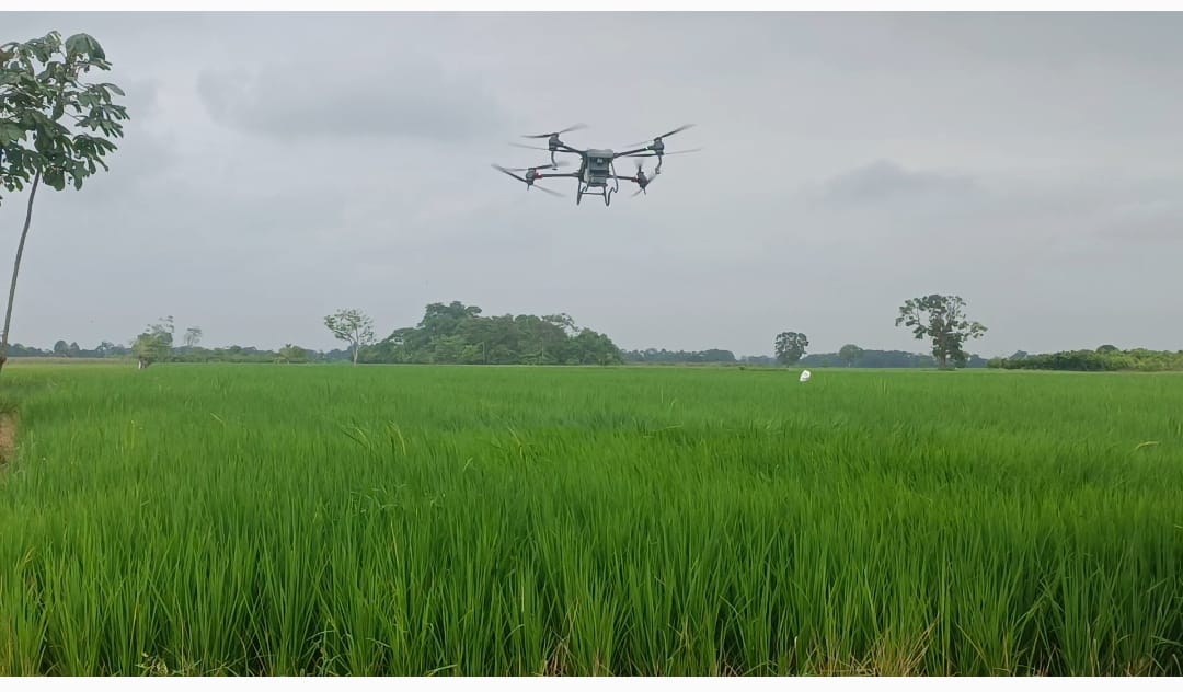 SERVICIO DE FUMIGACION DE ARROZ CON DRON AGRAS T40.